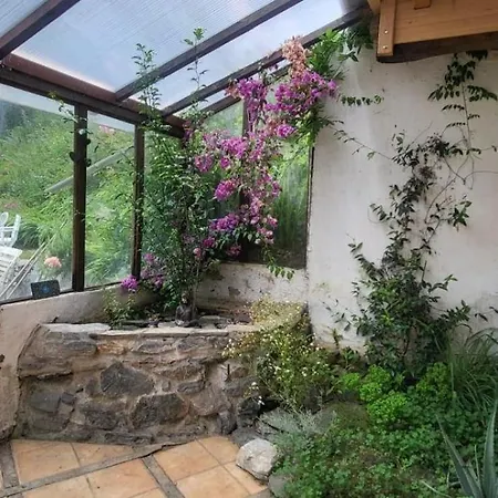 Sarramea Jungle Retreat *
